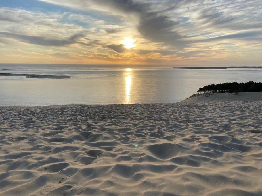 Villa Arcachon 12 Pers Avec Piscine Chauffee 1 Mai Au 30 Sept 외부 사진